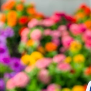 Meet your Posher, Lethe